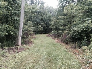 Property photo 23 - LAND AUCTION, 55+/- Acres offered in 2 tracts